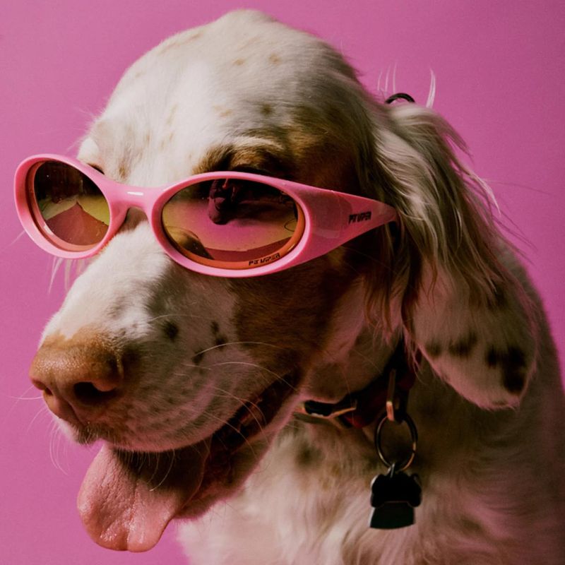 Pit Viper The Slammer The Juicy Z87+ HDPV Polarized Pink