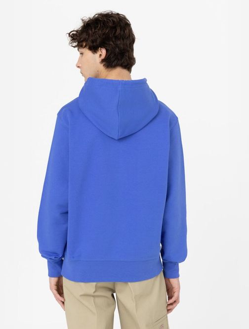 Hovedbilde Dickies Skateboarding Mount Vista Hoodie Satin ...