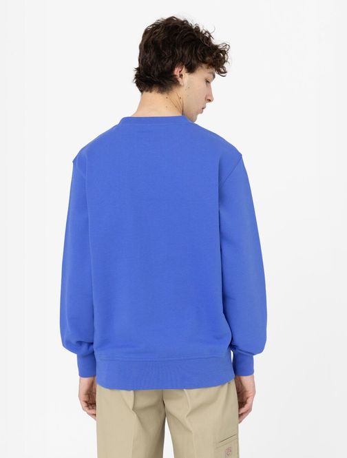 Hovedbilde Dickies Mount Vista Sweatshirt Satin Sky